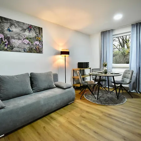 Sano - - Zentral, Ruhig, Stillvoll, Platz Zum Arbeiten, Schnelles Internet Appartement